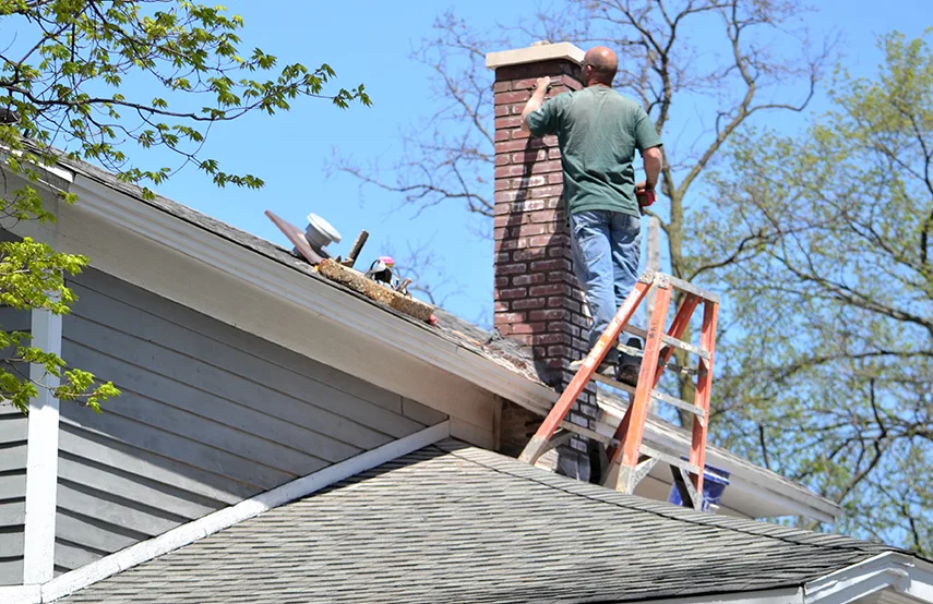 Chimney & Fireplace Inspections Services in Plainfield, IN